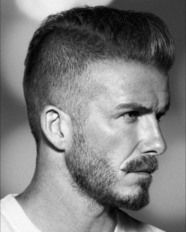 dégradé bas à blanc