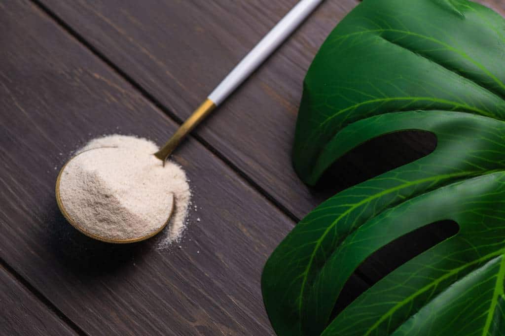 poudre collagène pour qui