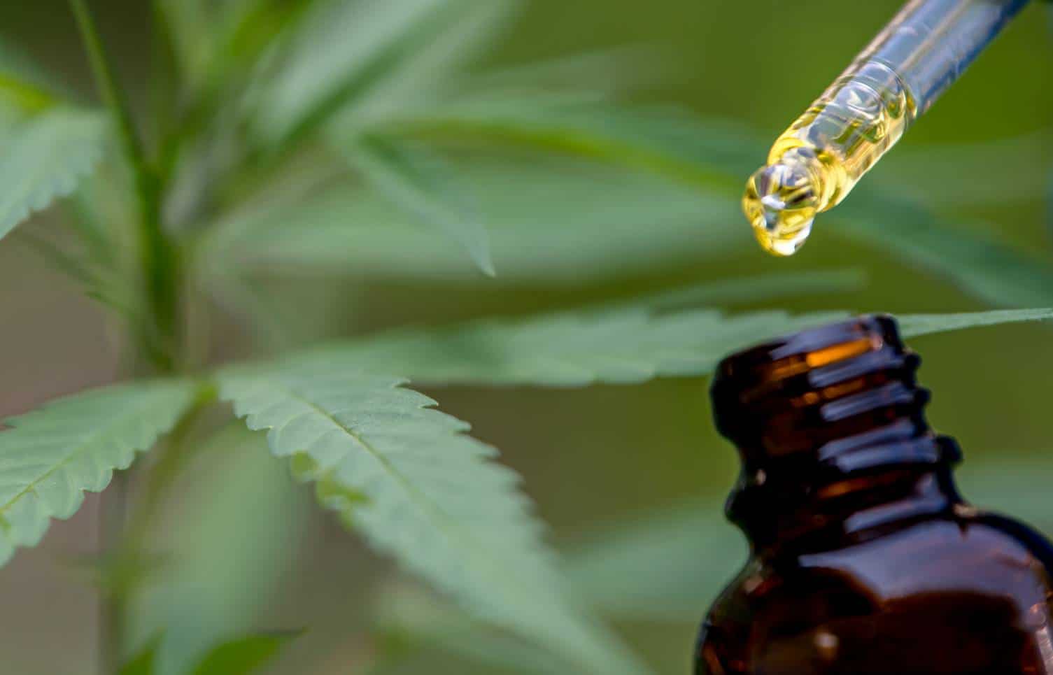 cannabidiol chanvre produit bien-être e-shop e-commerce