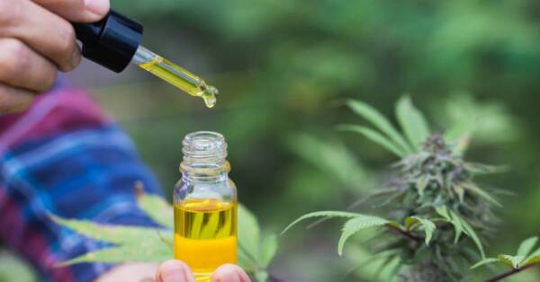 Variétés d'huiles de CBD chez Flora CBD