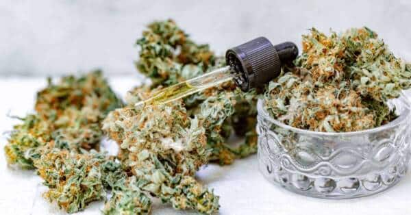 Critères de qualité pour les huiles de CBD