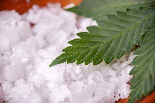 cannabidiol pur