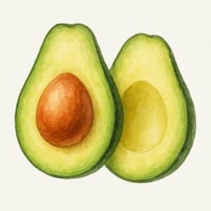 avocat bienfait peau