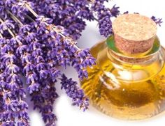 huile essentielle contre les moustiques