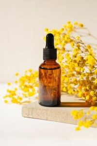 immortelle fleur