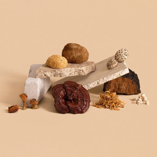 champignons adaptogènes