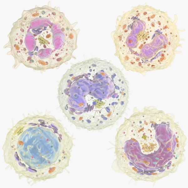 Recherche m&eacute;dicale art