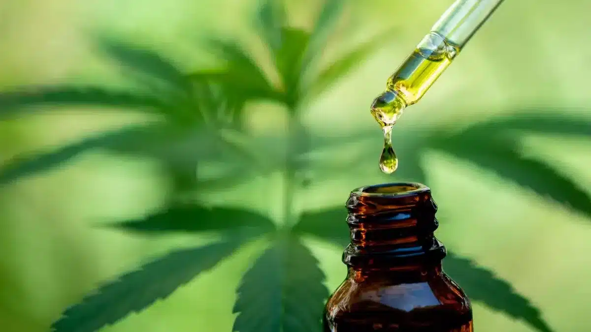 R&eacute;sine de CBD